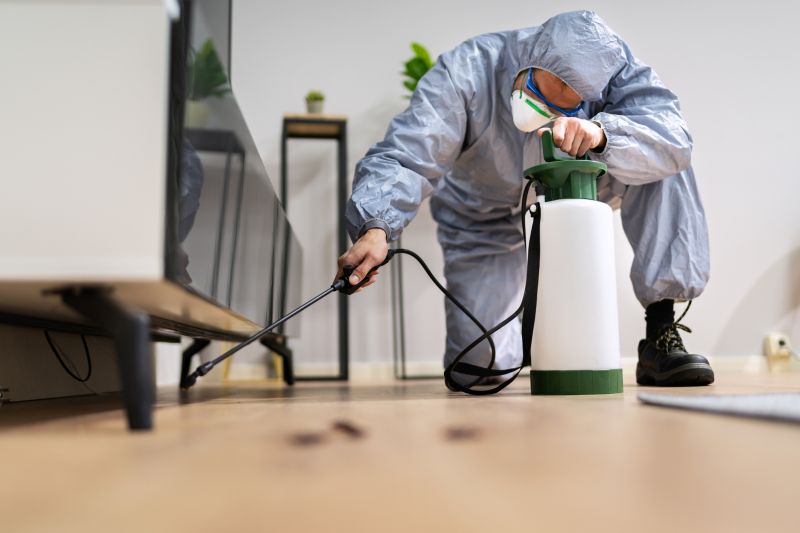 Residential Fumigation in Fort Collins, CO